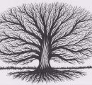 hz_tiggibaum