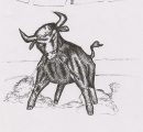 pks1_stier1